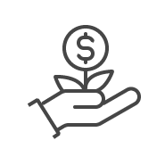 Money icon